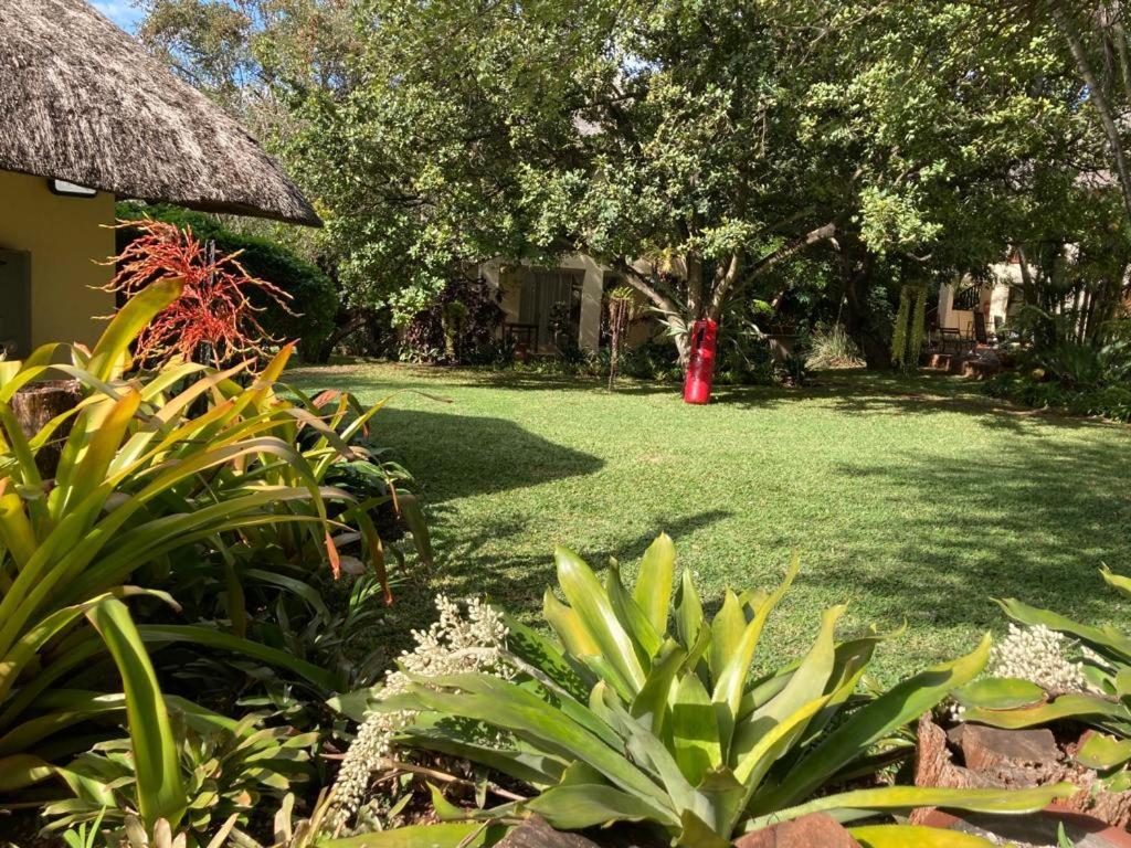 Acasia Guest Lodge โคมาติพอร์ต ภายนอก รูปภาพ